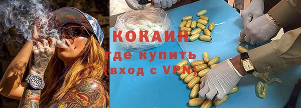 винт Алзамай