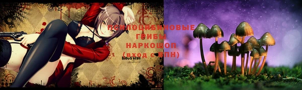 apvp Алексин